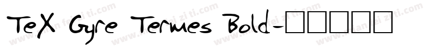 TeX Gyre Termes Bold字体转换